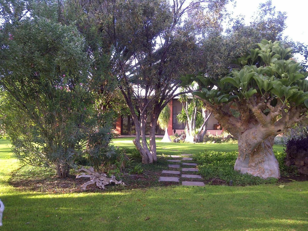 Buschberg Guest Farm Villa Outjo Exterior photo